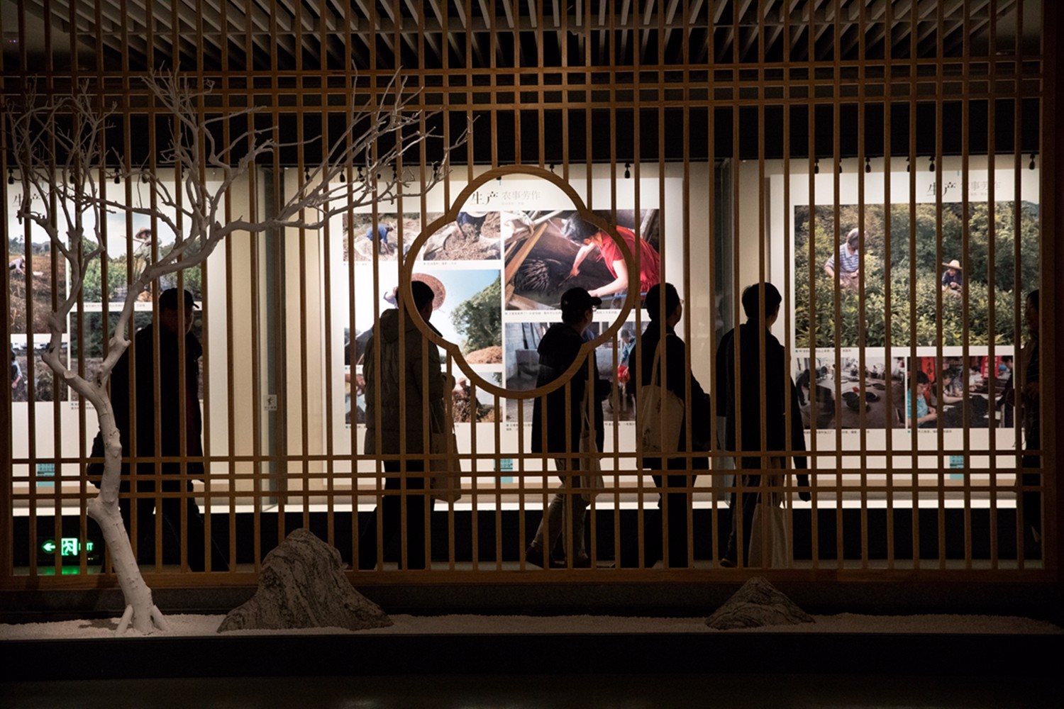 “東方詩(shī)意 黃山影像”黃山攝影工作坊作品展現(xiàn)場(chǎng)吸引了眾多市民和攝影愛好者參觀  曹曉東攝影 (1).jpg