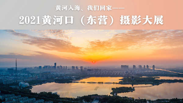 東營(yíng)600.png