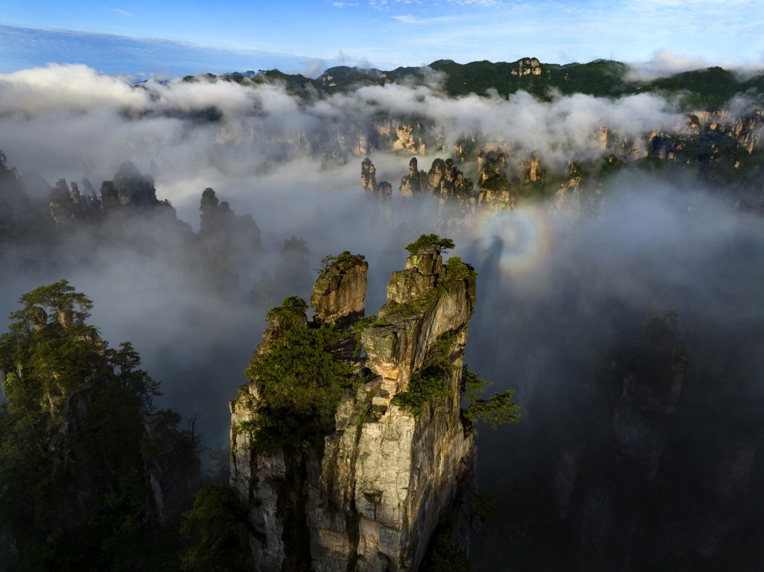 金獎(jiǎng)《浪漫云端》陳景明 攝.jpg