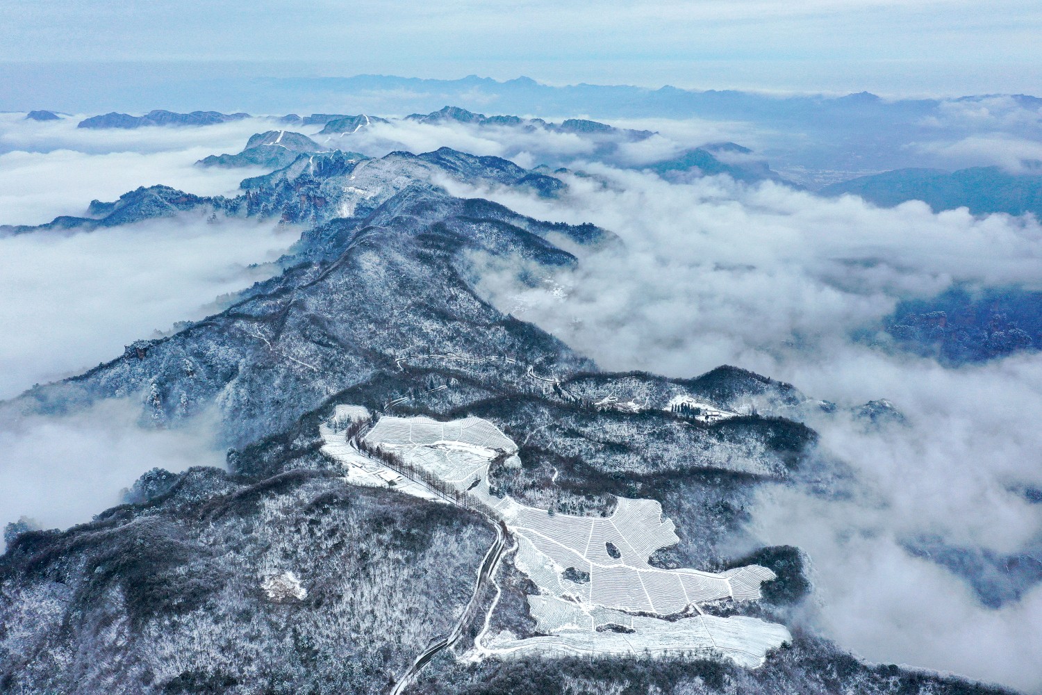 銅獎(jiǎng) 雪后御茶園 廖頌怡 攝.jpg