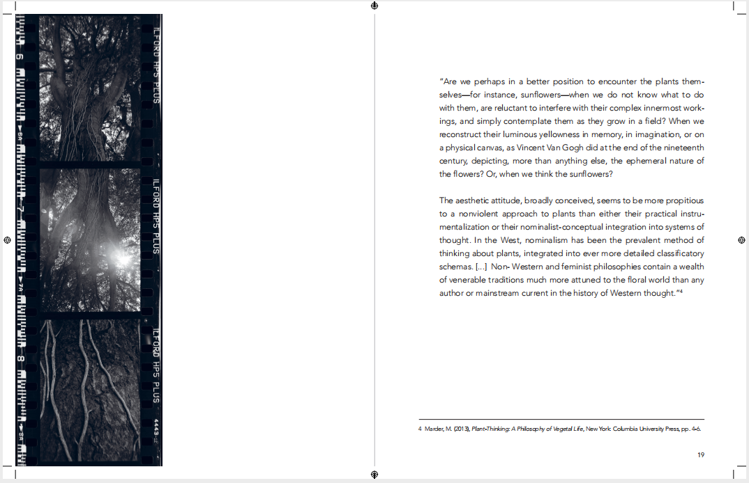 Mujahid Safodien，威特沃特斯蘭德大學穆賈希德·薩福迪恩.png