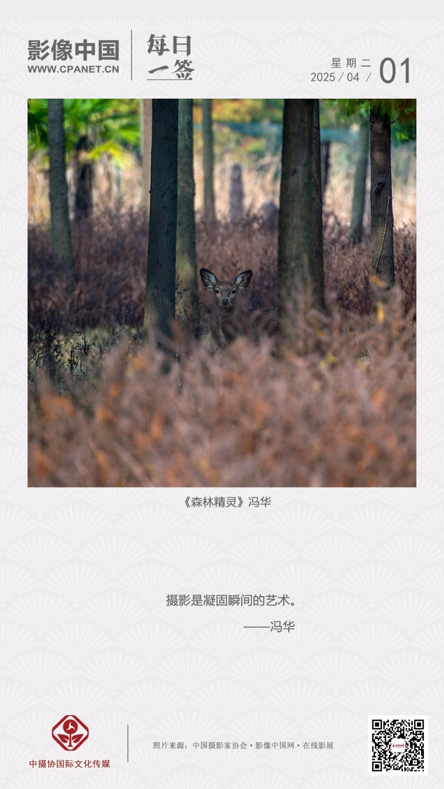 2025.4.1 拷貝.jpg
